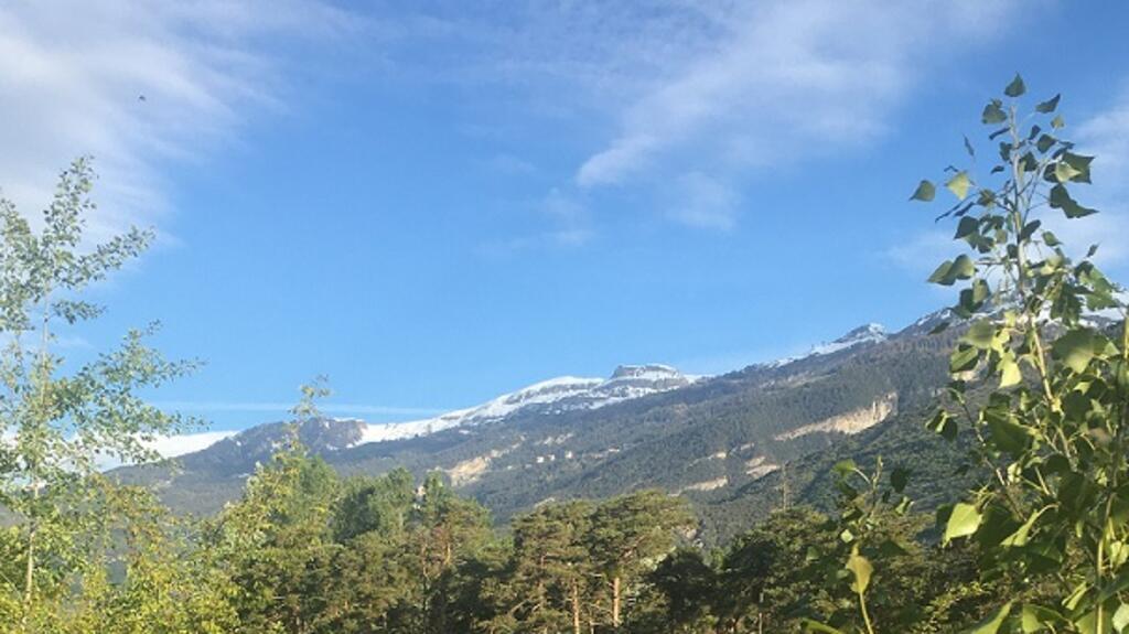 Les pins comme au sud et, au loin, les sommets enneigés.