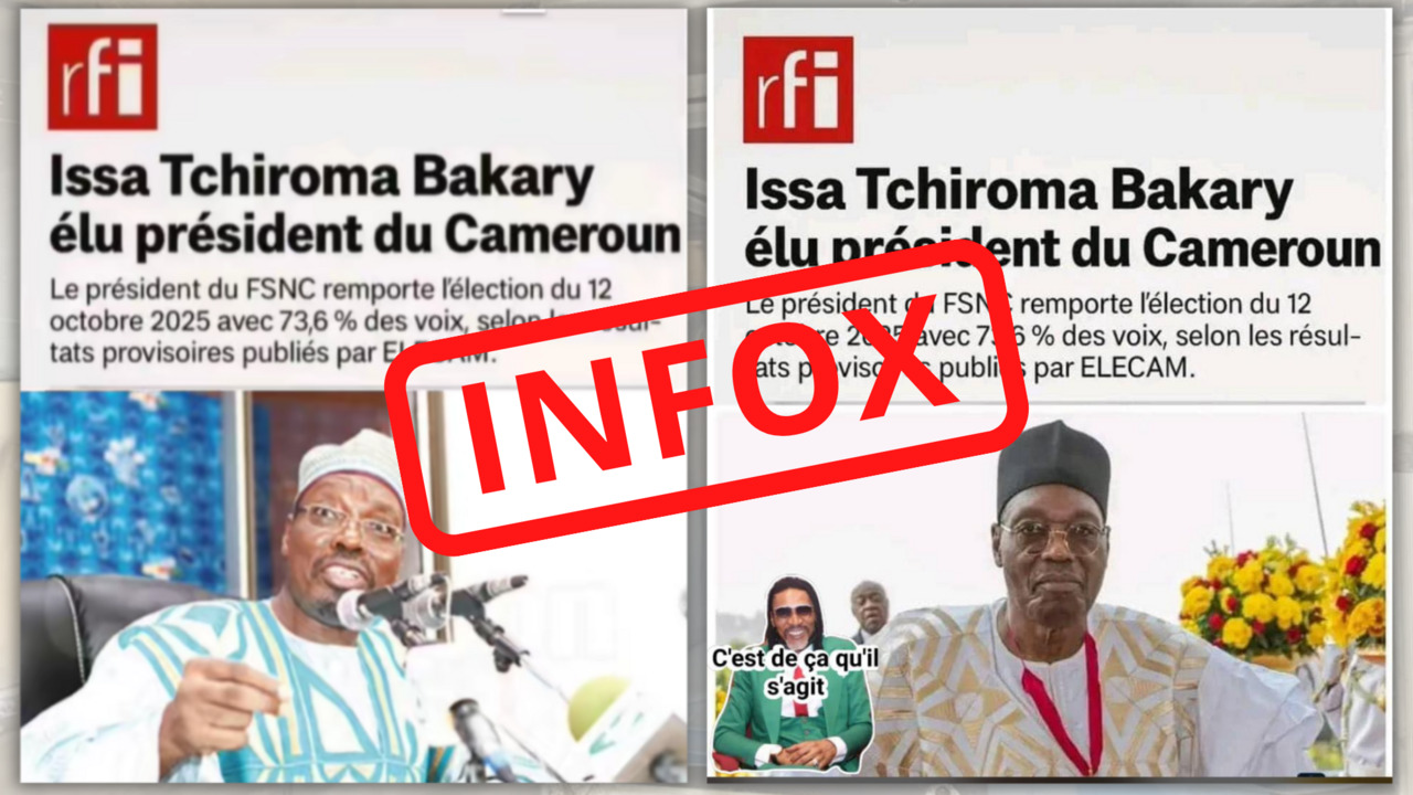 Présidentielle au Cameroun: le logo de RFI détourné avant la publication des résultats