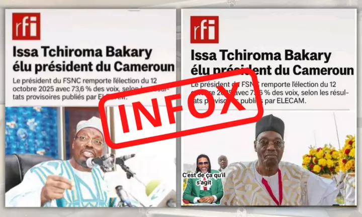 Example of a fabricated news article using a hijacked logo.