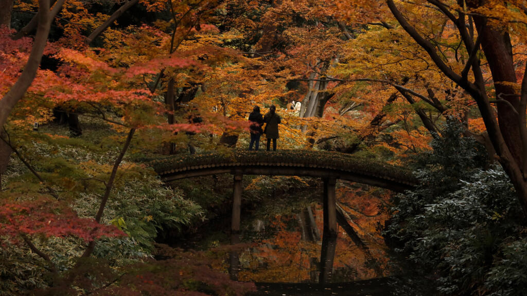 Deux visiteurs dans le jardin Rikugien à Tokyo.