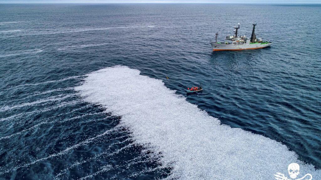 Enqu&ecirc;te administrative ouverte apr&egrave;s une h&eacute;catombe de poissons dans le golfe de Gascogne