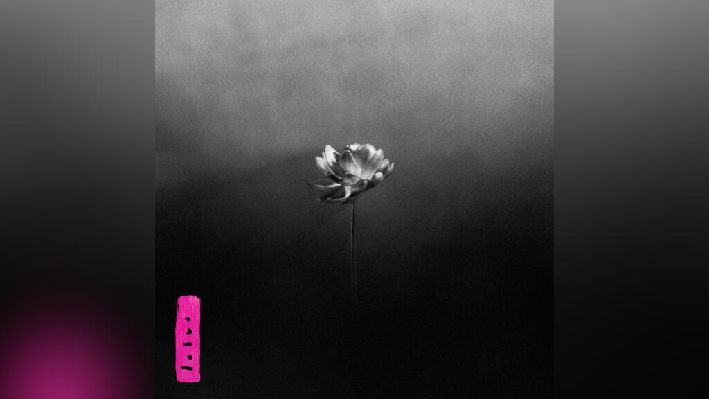 Album «Lotus» de Little Simz.