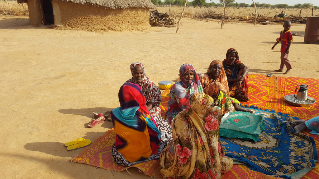 Des femmes du groupement Attadjamou d'Al Boutal.