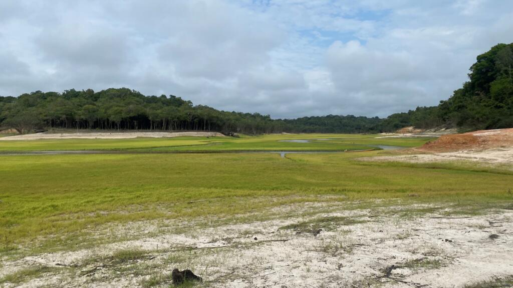 Quelques mois plus tôt, la rivière du Tarumã-açu, près de Manaus, coulait encore à la place de cette prairie.