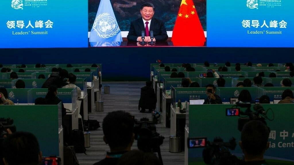 Le président chinois Xi Jinping en visioconférence (dans la salle média de la COP15 de Kunming), le 12 octobre 2021. (Image d'illustration)
