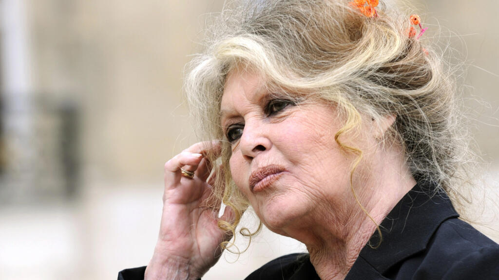 Entendo a raiva dos coletes amarelos no dia a dia", diz Brigitte Bardot
