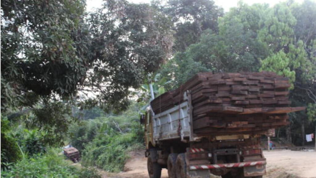 Transport de bois illégal, en décembre 2022, dans la région Sud du Cameroun.