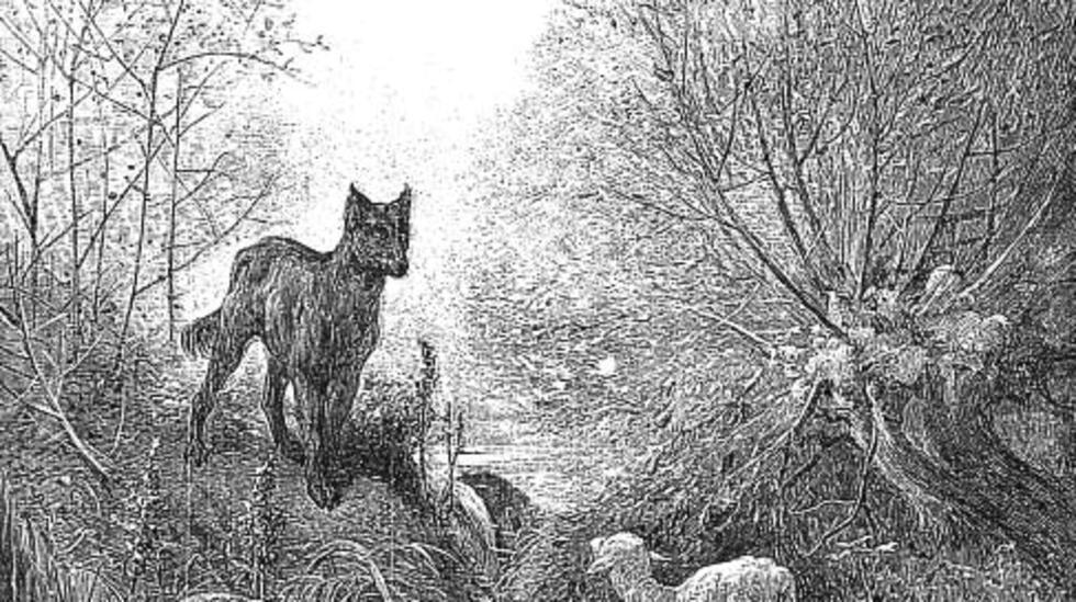 'Le Loup et l'agneau' de Jean de La Fontaine Aprenda francés a través