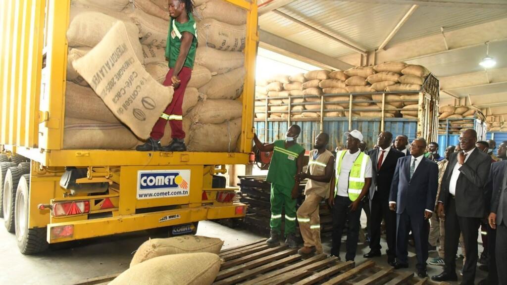 Crise du cacao en Côte d'Ivoire : un modèle en questions