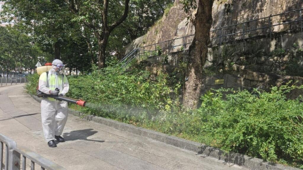 香港出現首例本土登革熱病例，政府加強滅蚊，下個月中評估看看能不能解除風險。