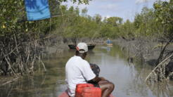 Une vue de Dubreka, près de Conakry. (Image d'illustration)