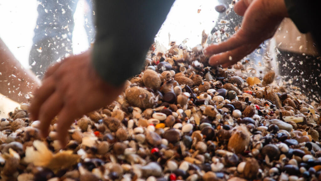 Amazonie 3/4: restaurer la forêt en imitant la nature