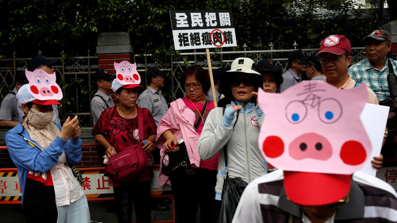 民進黨大轉彎要開放美豬進口國民黨及豬農癱瘓立院