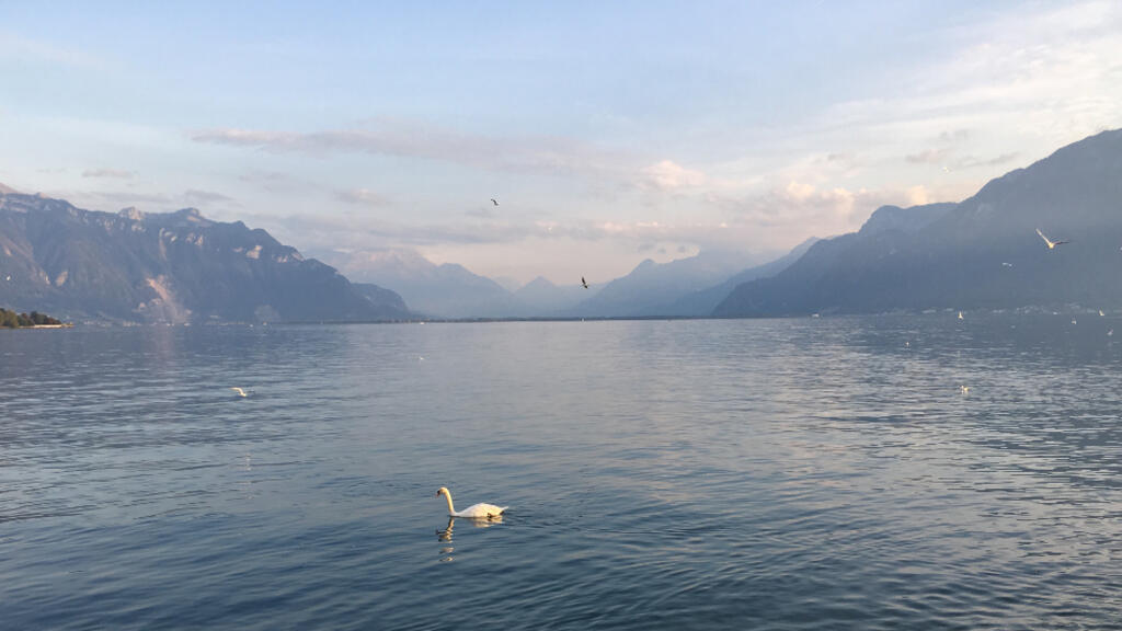 En Suisse, le lac Léman est le plus grand réservoir d'eau douce en Europe.