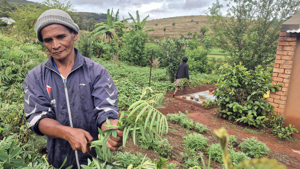 Sommet UA/UE: près d'Antananarivo, une formation agricole illustre le partenariat Madagascar-Europe