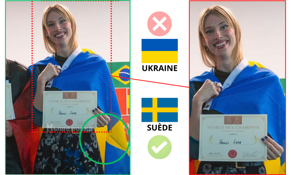 La photo originale a été recadrée pour faire passer le drapeau suédois comme le drapeau ukrainien.