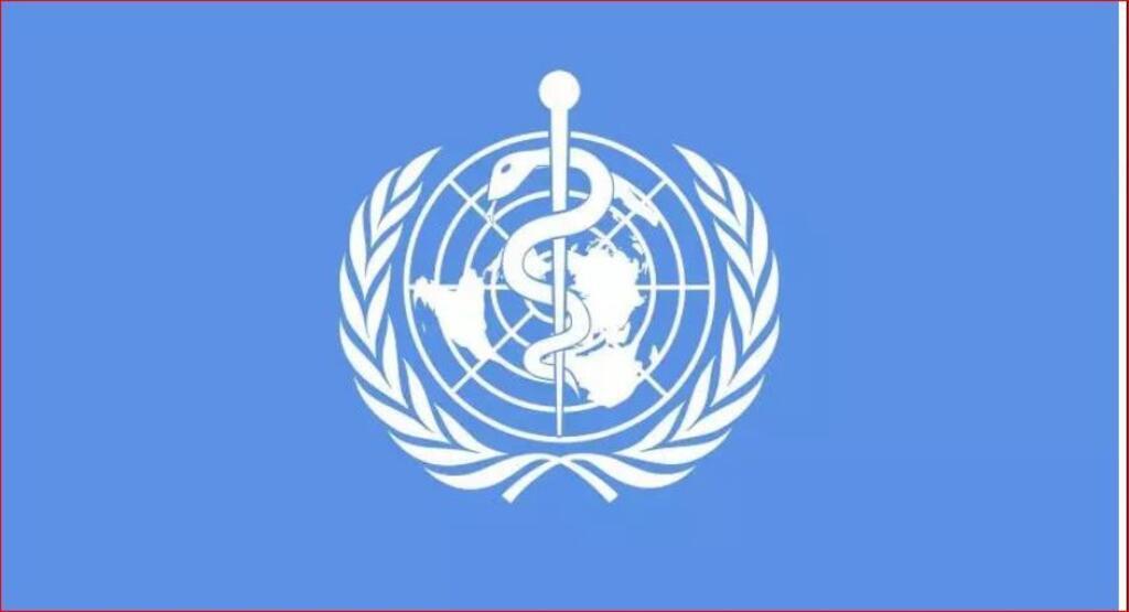 RFI archive Backoffice Data / Organisation mondiale de la Santé.