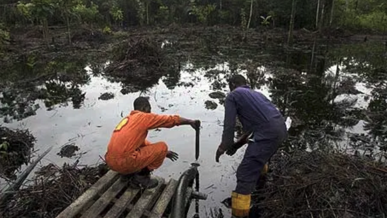 Нигерия shell. Нефтедобывающая промышленность нигерии. Nigeria oil. Нефтяная промышленность нигерии. Дельта реки нигер, нигерия — разливы нефти.