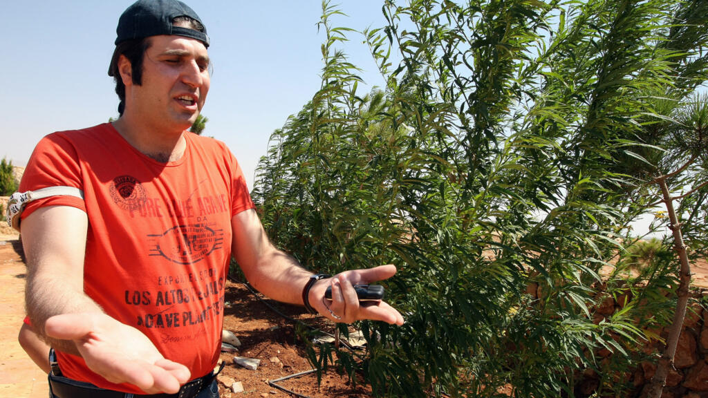 Liban: l'armée arrête le principal baron de la drogue, soupçonné de relations avec le Hezbollah