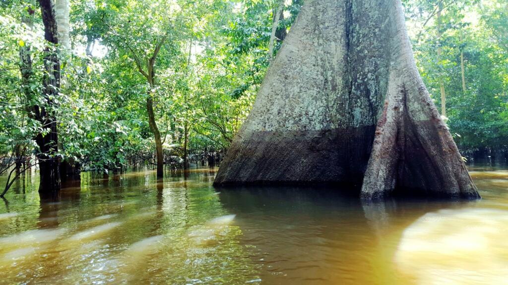 Até hoje, menos de 10 pessoas já percorreram todo o rio Amazonas em uma expedição, afirma Sanada.