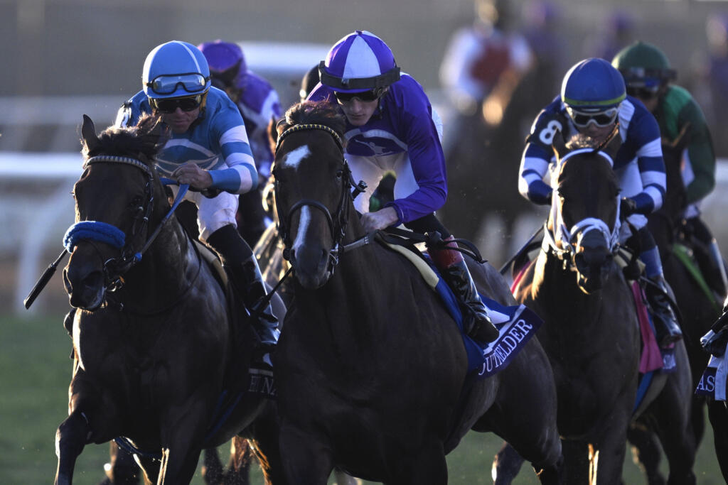 Gstaad gives O'Brien record 21st Breeders' Cup win