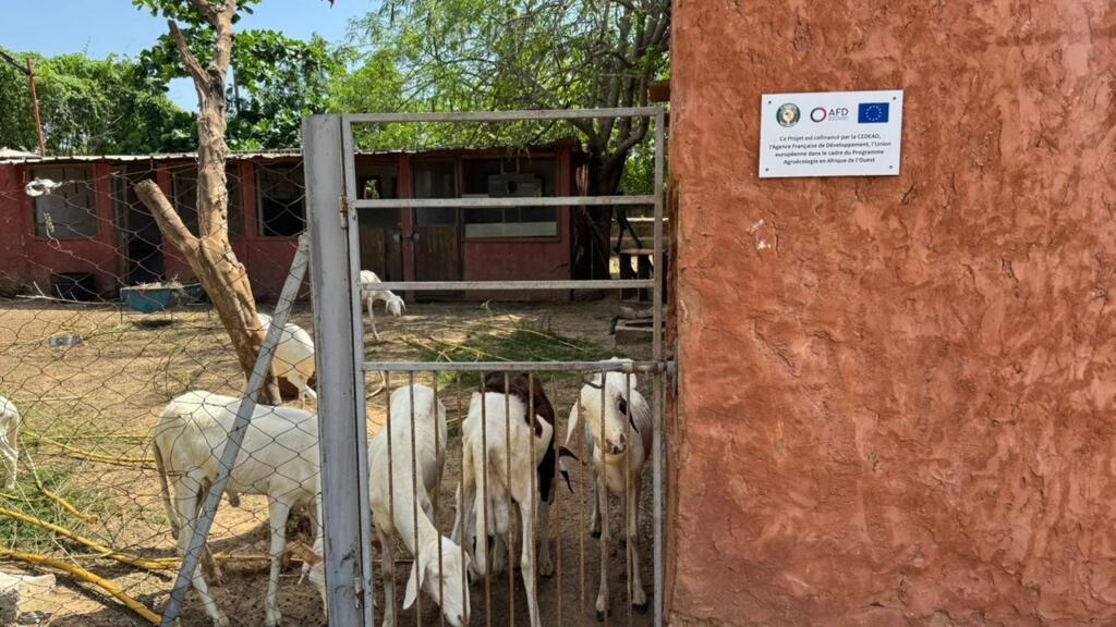 L'AFD soutient la ferme des 4 chemins en termes de financement et de conseil