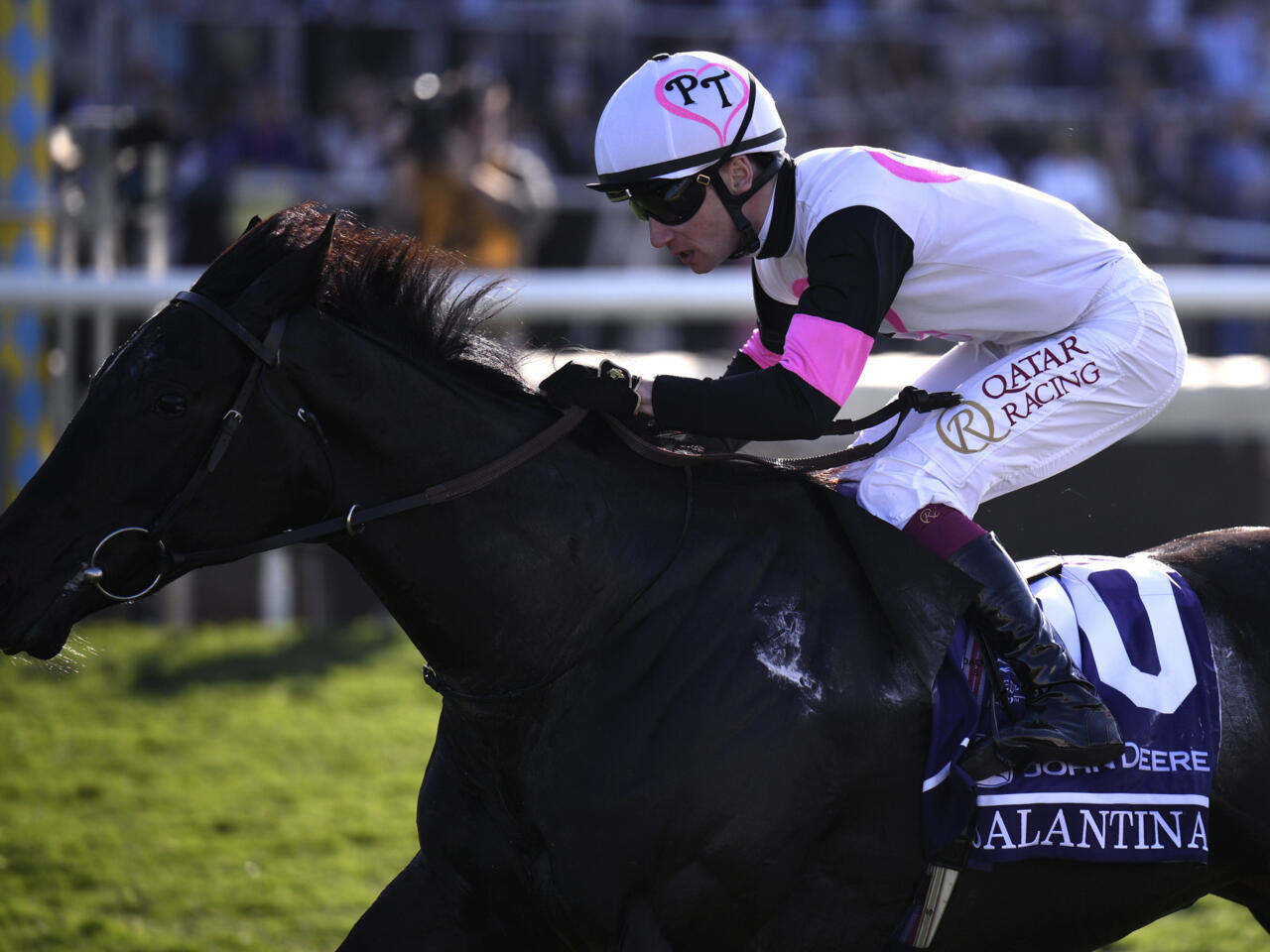 競馬Breeders' Cup 2021 Champion ジャージジャケット 競馬Breeders' Cup 2021 Champion ジャージジャケット 競馬Breeders