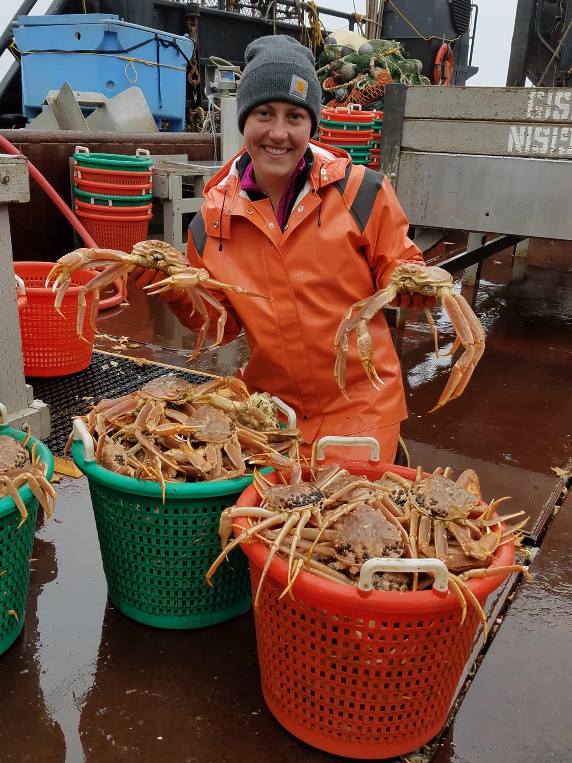 Warming waters 'key culprit' in Alaska crab mass dieoff