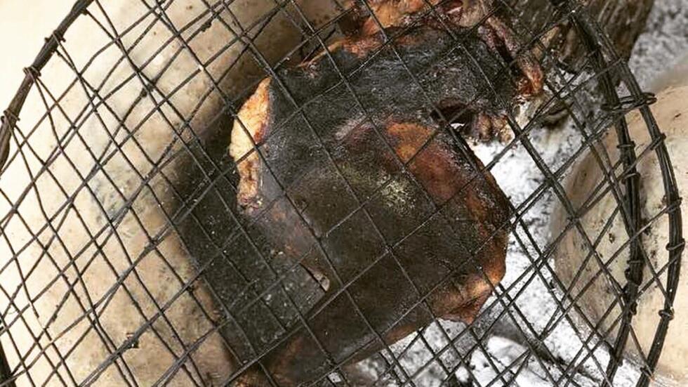 Viande de brousse la fin de la prohibition La vie ici