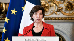 法国外交部长科隆纳资料图片