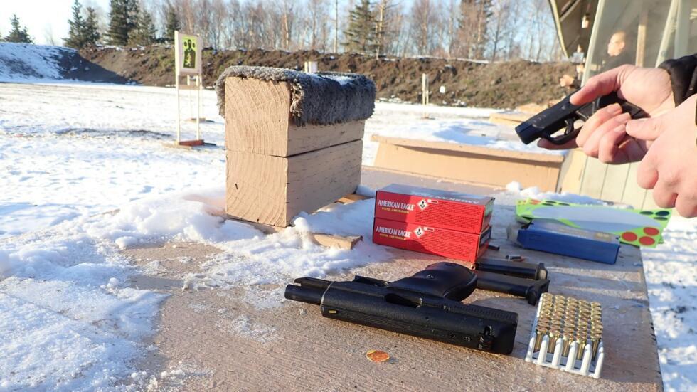 Leftleaning gun owners look for alternatives in the US International