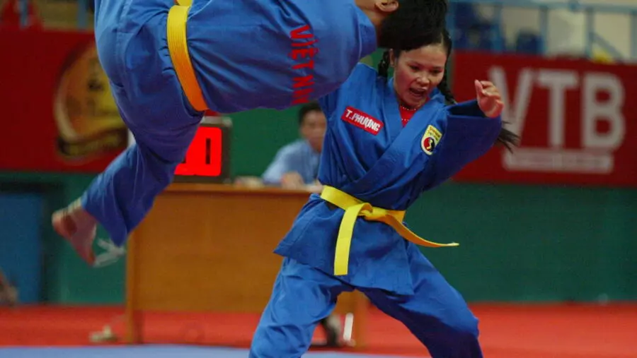 Biểu diễn Vovinam, một trong những môn phái võ của người Việt sáng tạo, tại đại hội võ thuật quốc tế ở thành phố Hồ Chí Minh 2013.