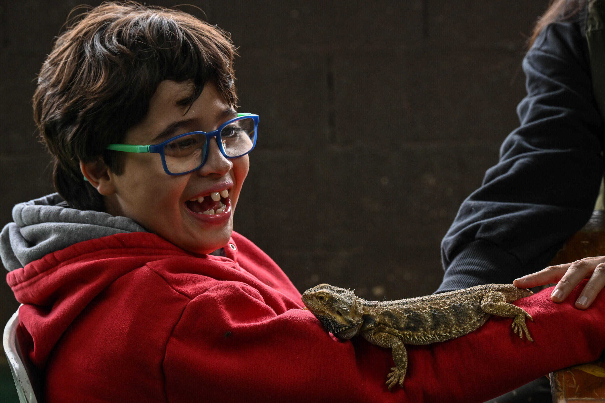 Snakes as therapy animals reptiles help heal in Brazil