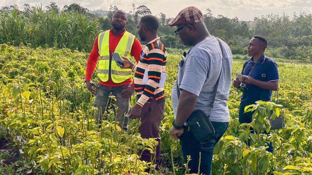 Rodrigue Kamden avec des visiteurs de l'ONG Alliance Biodiversité dans sa ferme à Bansoa.