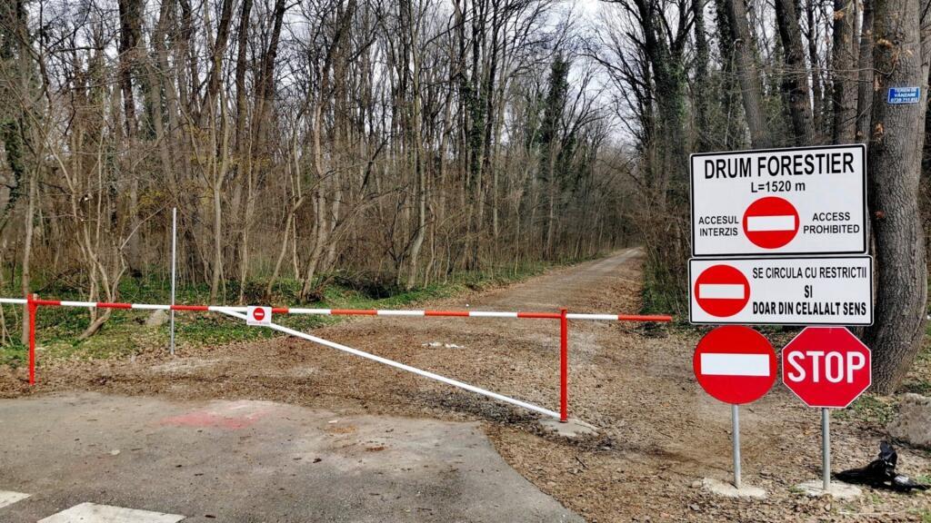 Ecologiștii se opun deschiderii circulației auto pe drumul forestier din Pădurea Băneasa