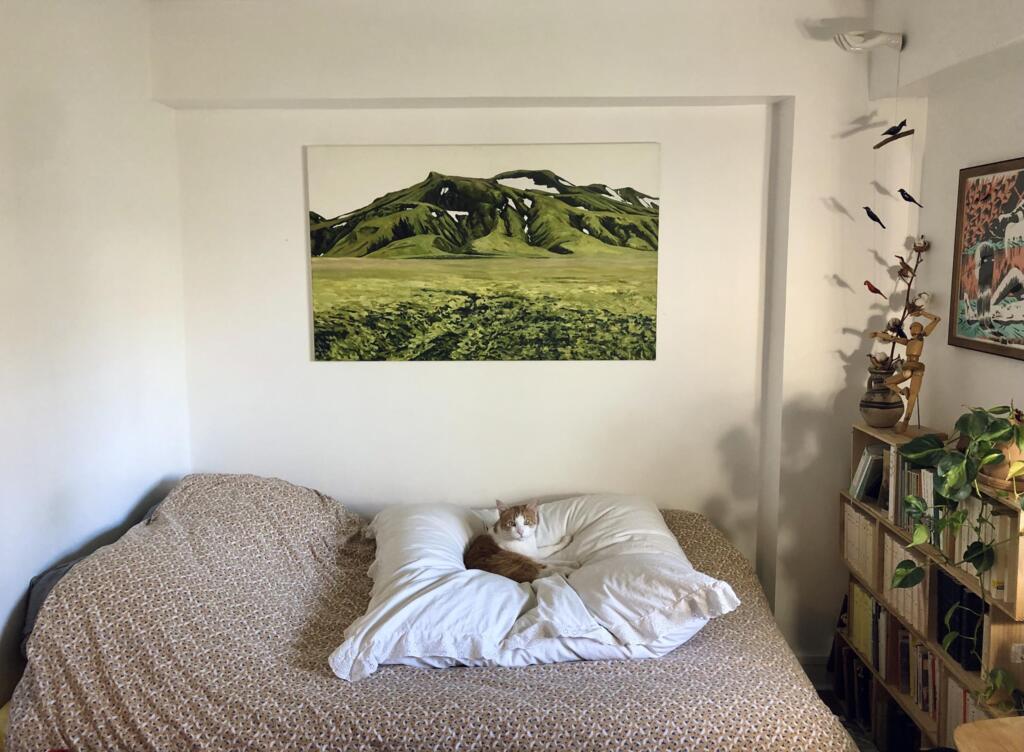Fanny Bleichner a participé à l'évènement "Une œuvre à la maison". Elle a pu se faire prêter gratuitement durant l'opération une toile d'un paysage islandais de montagne de l'artiste Bruno Gadenne.