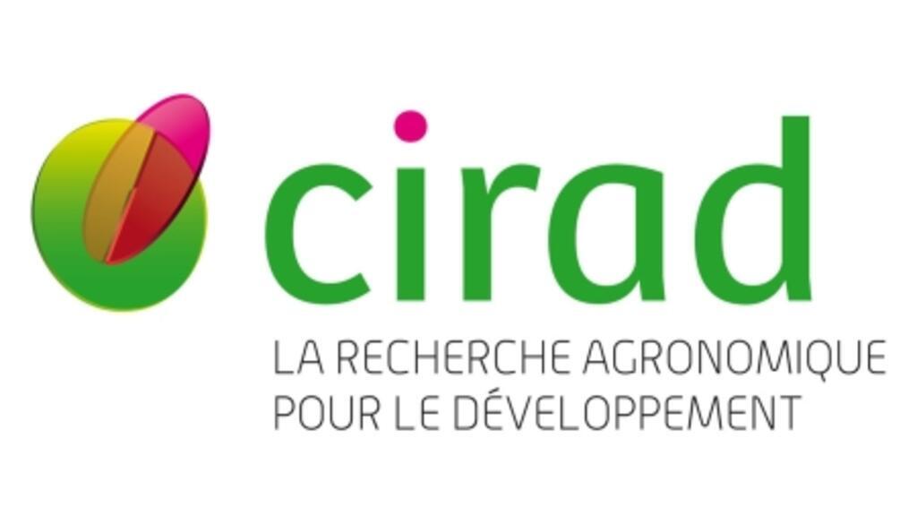 RFI Image Archive / CIRAD - Centre de coopération internationale en recherche agronomique pour le développement. 
存档图片 /  法国农业研究发展国际合作中心