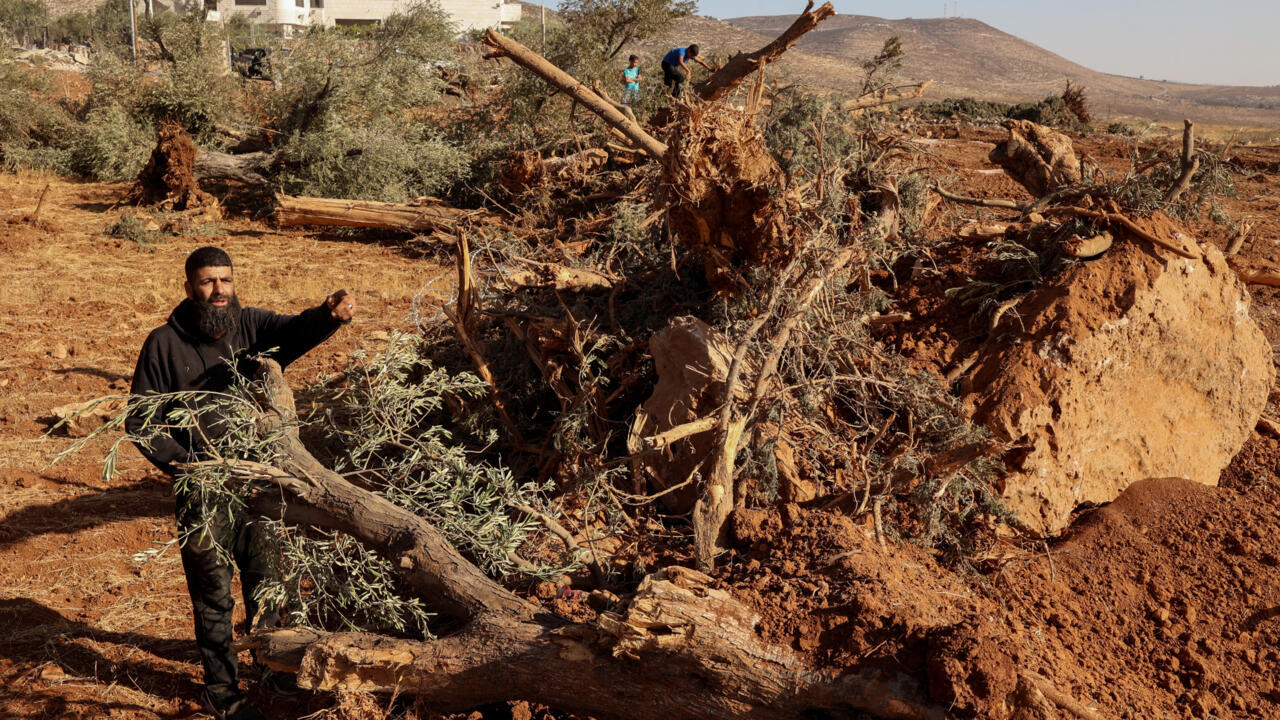«Une reconnaissance de papier ne changera rien»: en Cisjordanie, la colonisation continue