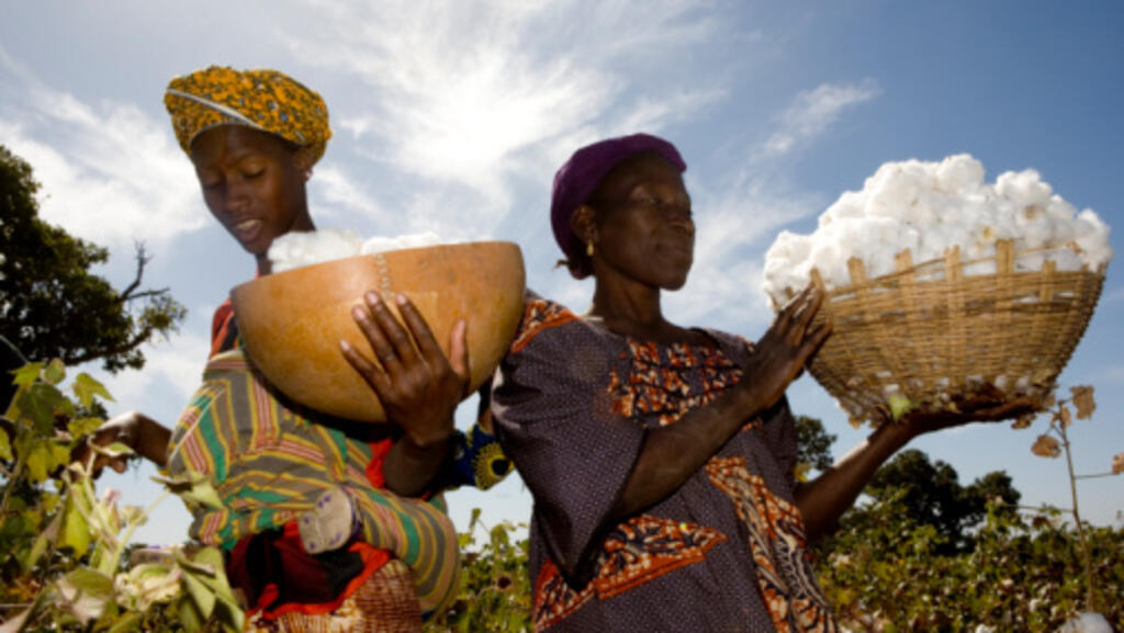 L'agriculture représente 40% du produit intérieur brut du Mali.