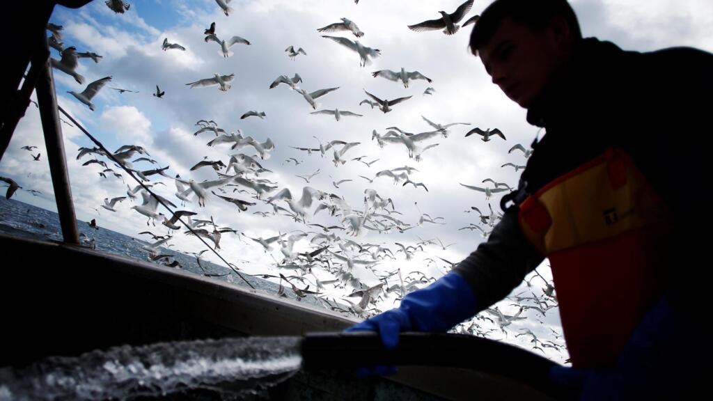 Des pays comme la France ou la Belgique réalisent entre 30 et 50% de leurs prises dans les eaux territoriales britanniques.