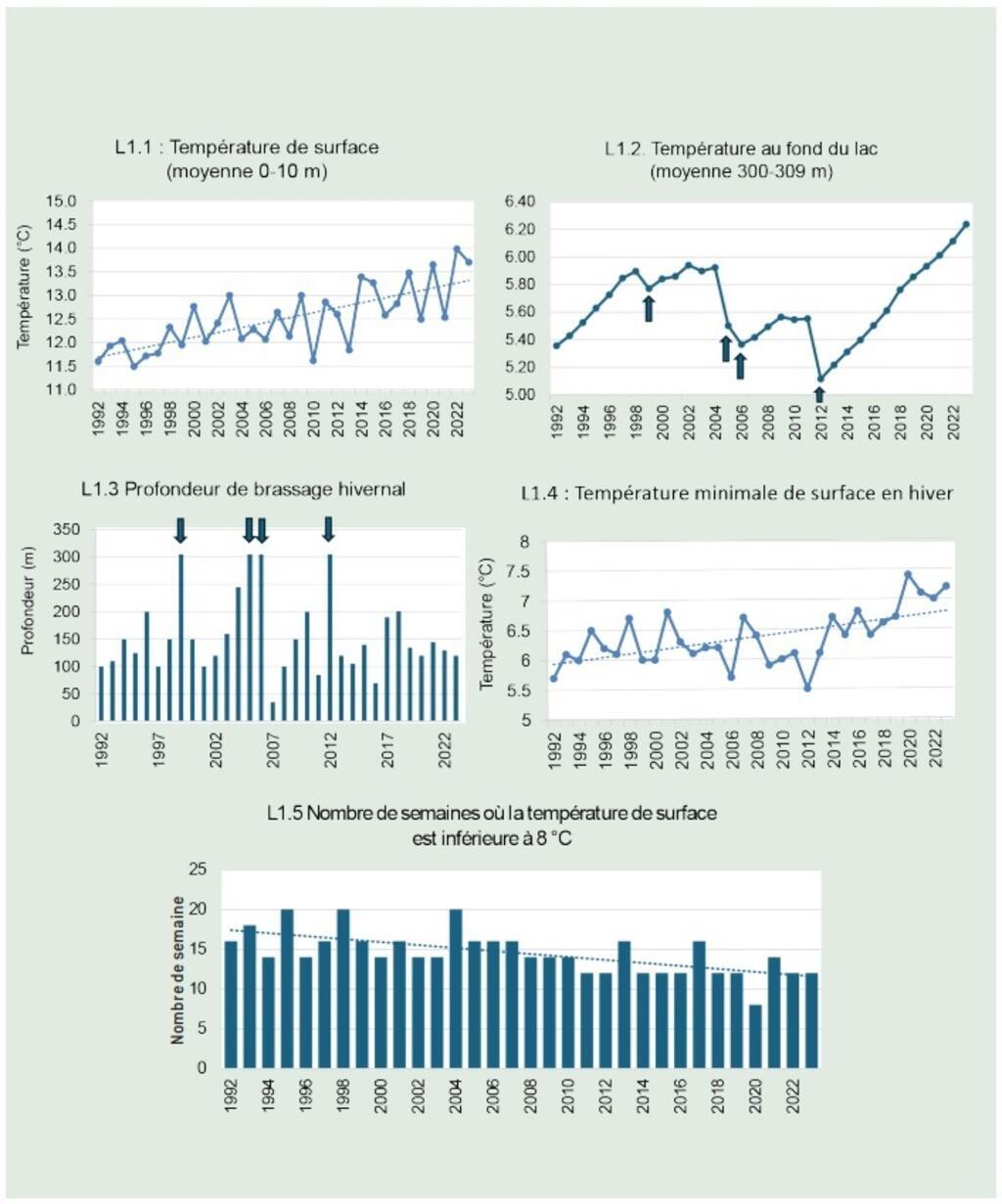 Selon le rapport technique annuel de la Cipel paru le 16 décembre 2024, «depuis le dernier brassage hivernal complet survenu en 2012, la température au fond du lac a augmenté de +1.1 °C, soit 0,1 °C/an, donc plus rapidement qu'à la surface. La température minimale annuelle de surface en hiver continue d’augmenter (+0.7°C par rapport à la période 1993-2023). En 2023, la température de surface a été inférieure à 8°C pendant 12 semaines, comme en 2022. Ce résultat confirme la tendance observée : la période pendant laquelle la surface du lac reste en dessous de 8°C se raccourcit. Le lac devient plus chaud sur une plus grande période de l’année, ce qui impacte la reproduction de certaines espèces de poissons, ainsi que la phénologie du phytoplancton.»