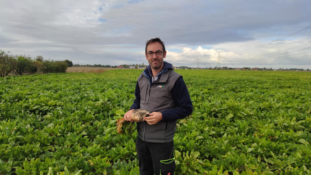 Guillaume Wullens dans son champ de betteraves près de Calais dans le nord de la France.