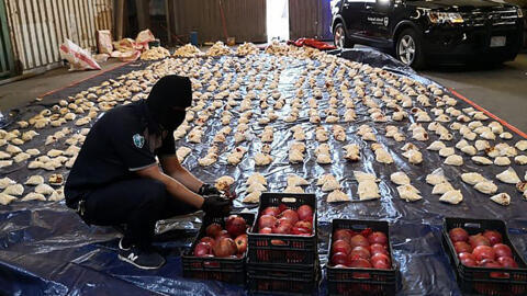 در سال ۲٠۲۱ پلیس عربستان پنج میلیون قرص کاپتاگون را در محموله‌های میوه کشف کرد