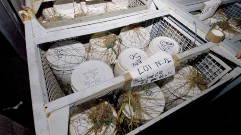 Saisie de 2,5 tonnes de cocaïne dans la cargaison d'un bateau de pêche libérien par la marine française, à environ 500 kilomètres au large de Monrovia, le 29 janvier 2008.