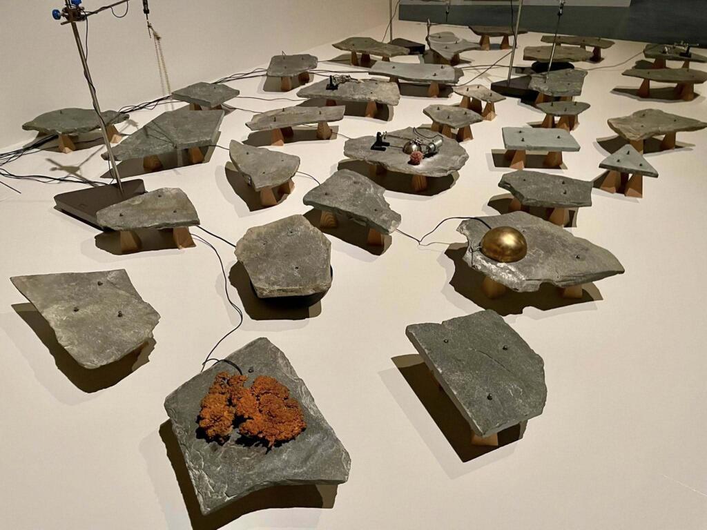 Litophone de Tarek Atoui.