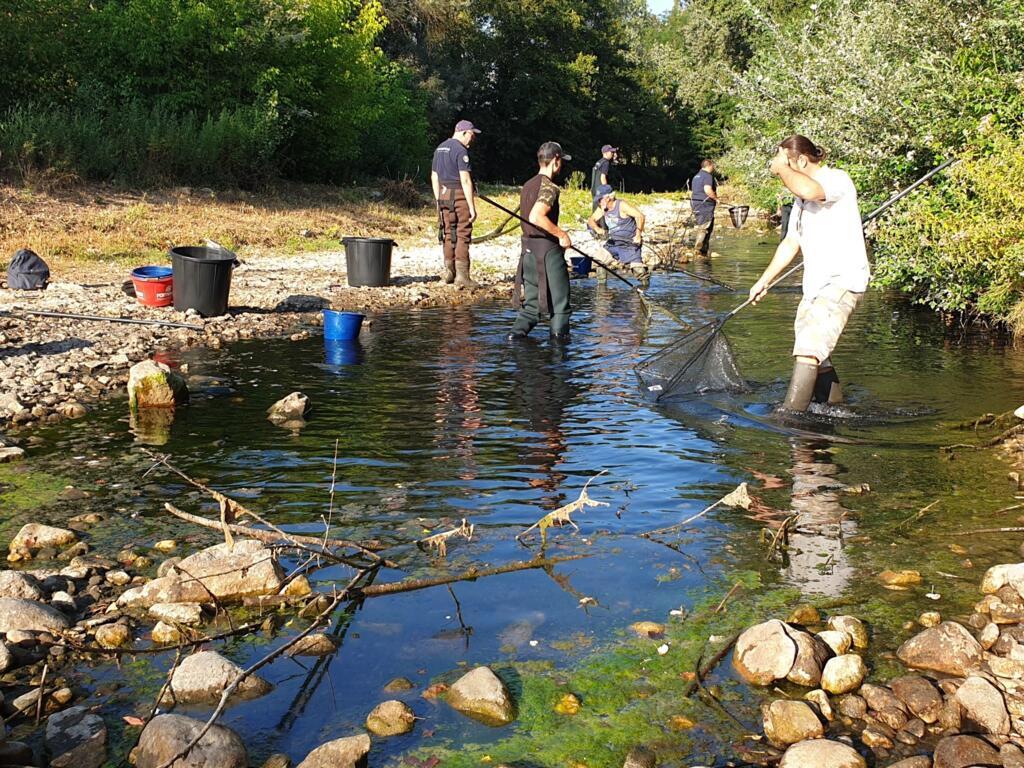 Ici, l’Auzonnet ne coule plus et des poissons sont pris au piège.