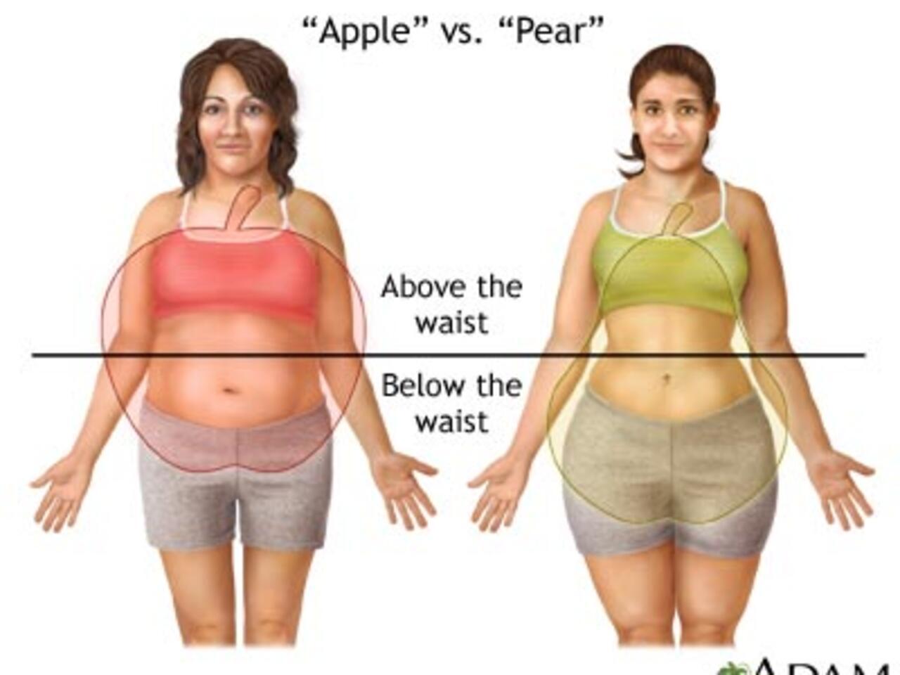 5 Kilos De Grasa Vs 5 Kilos De Musculo El secreto de la longevidad está en los kilos de más