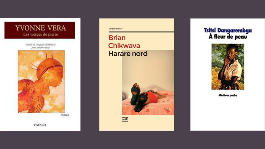 Lectures zimbabwéennes, recommandations de Gibson Ncube.