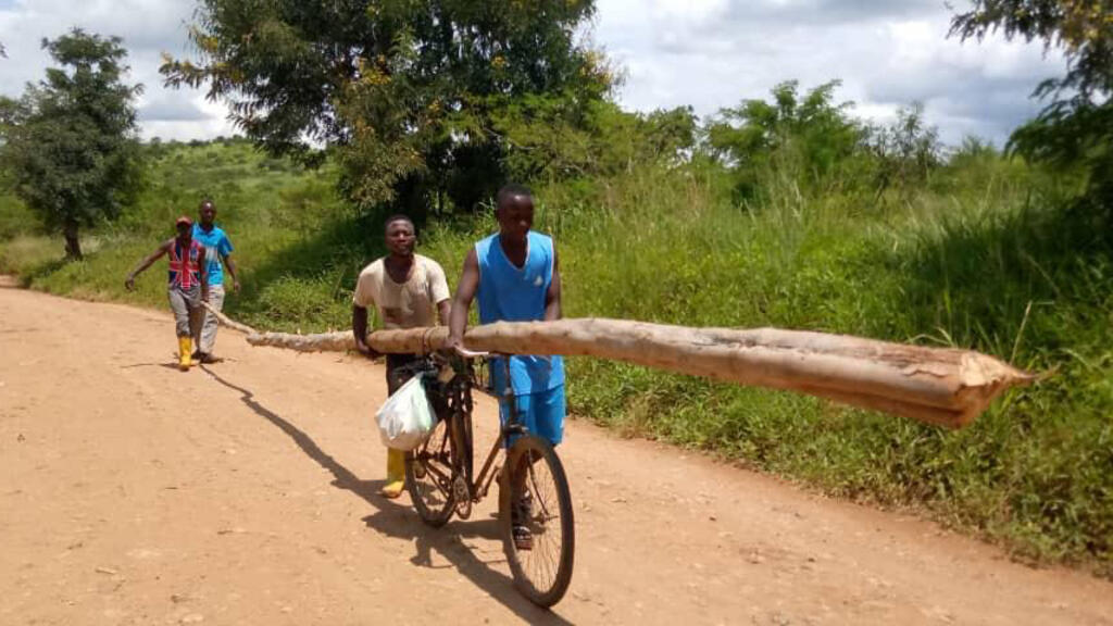 Transport d’un tronc d’arbre pour la fabrication d’un pylône.