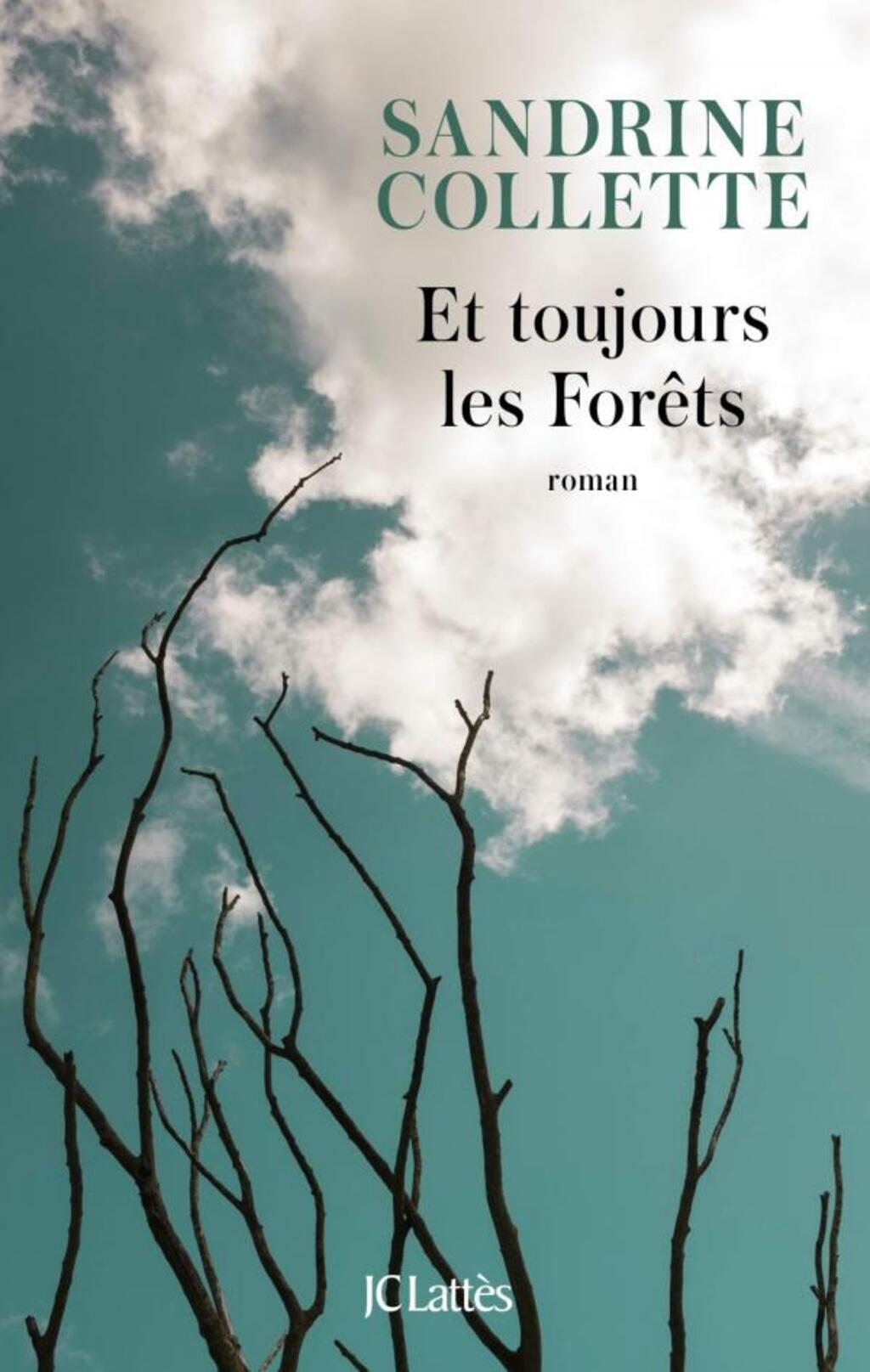 Couverture du 8ème roman de Sandrine Collette